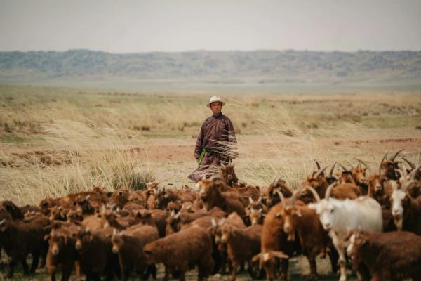From Mongolia to Chad: Inside LVMH’s Work on the Ground