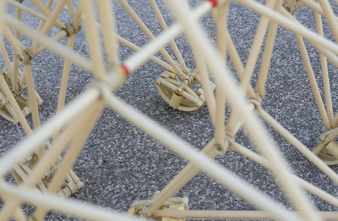 The complex, interconnected joints of a Theo Jansen Strandbeest.
