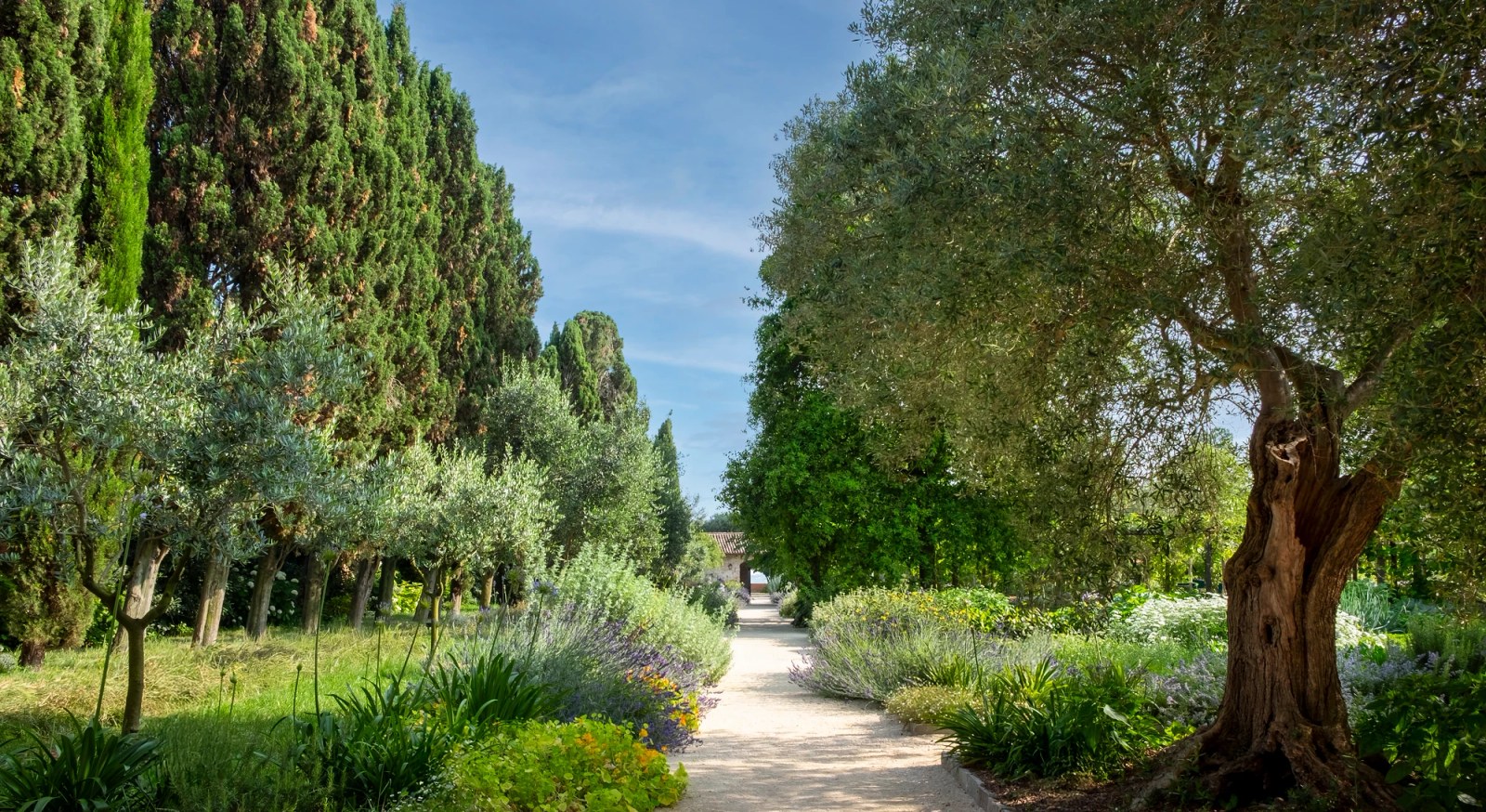 ## **L’Orto Giardino del Redentore** | After careful restoration, the Convent Garden of the Church of the Most Holy Redeemer opened to the public in 2024. Photo by Nicolò Tacconi, courtesy Venice Gardens Foundation