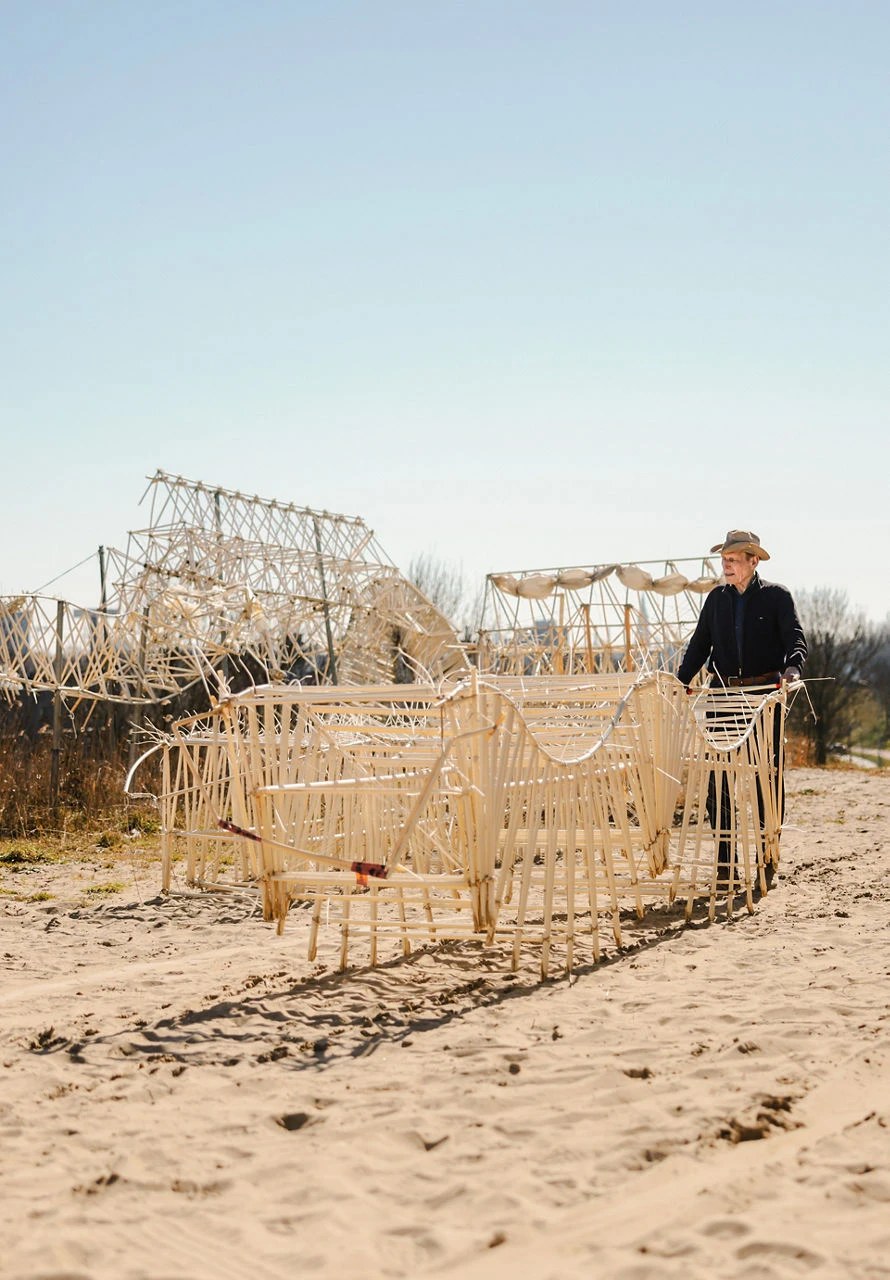 A Strandbeest sculpture on display inside a modern exhibition hall.