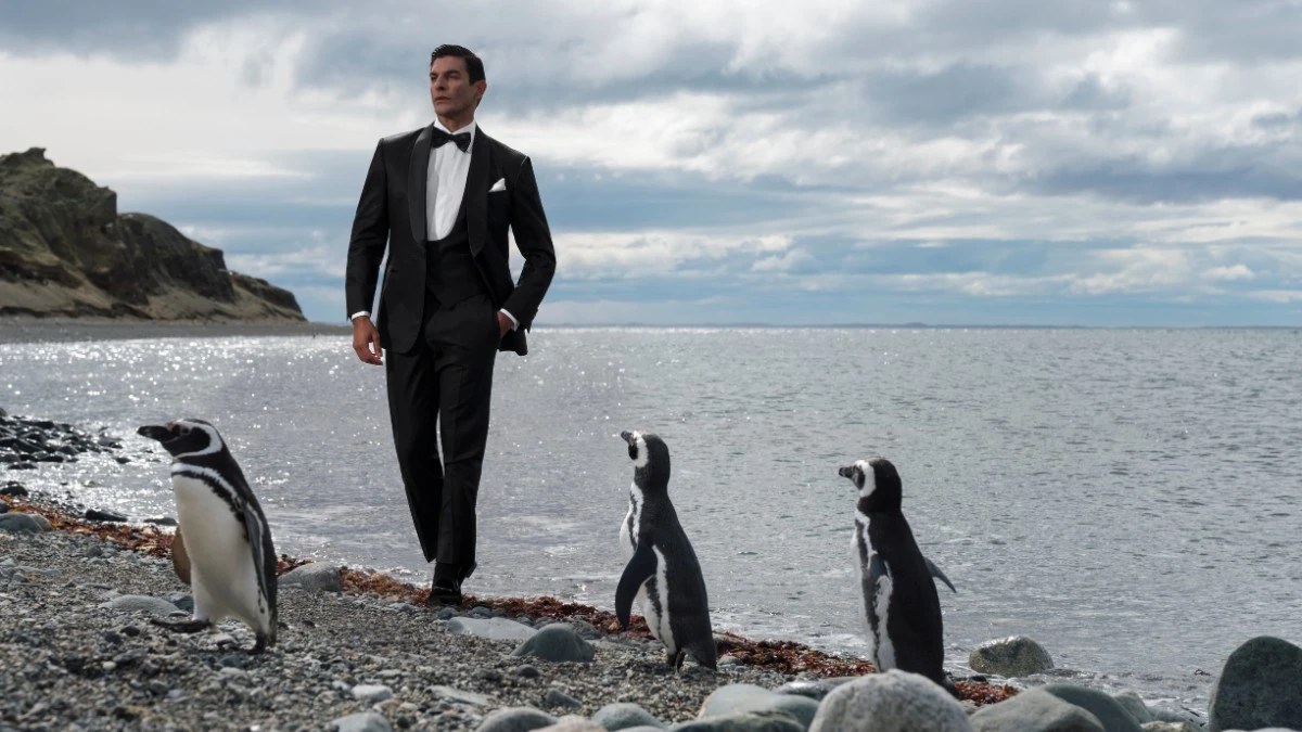 A man in Stefano Ricci observes penguins on Isla Magdalena.
