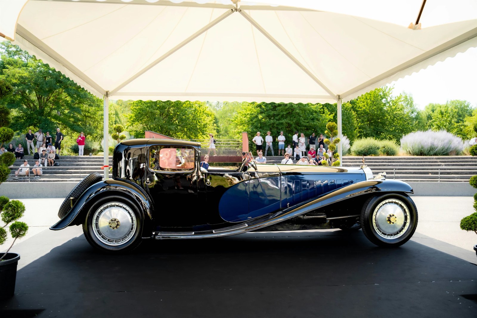 The iconic Bugatti Royale Coupé Napoléon, a centerpiece of the collection.