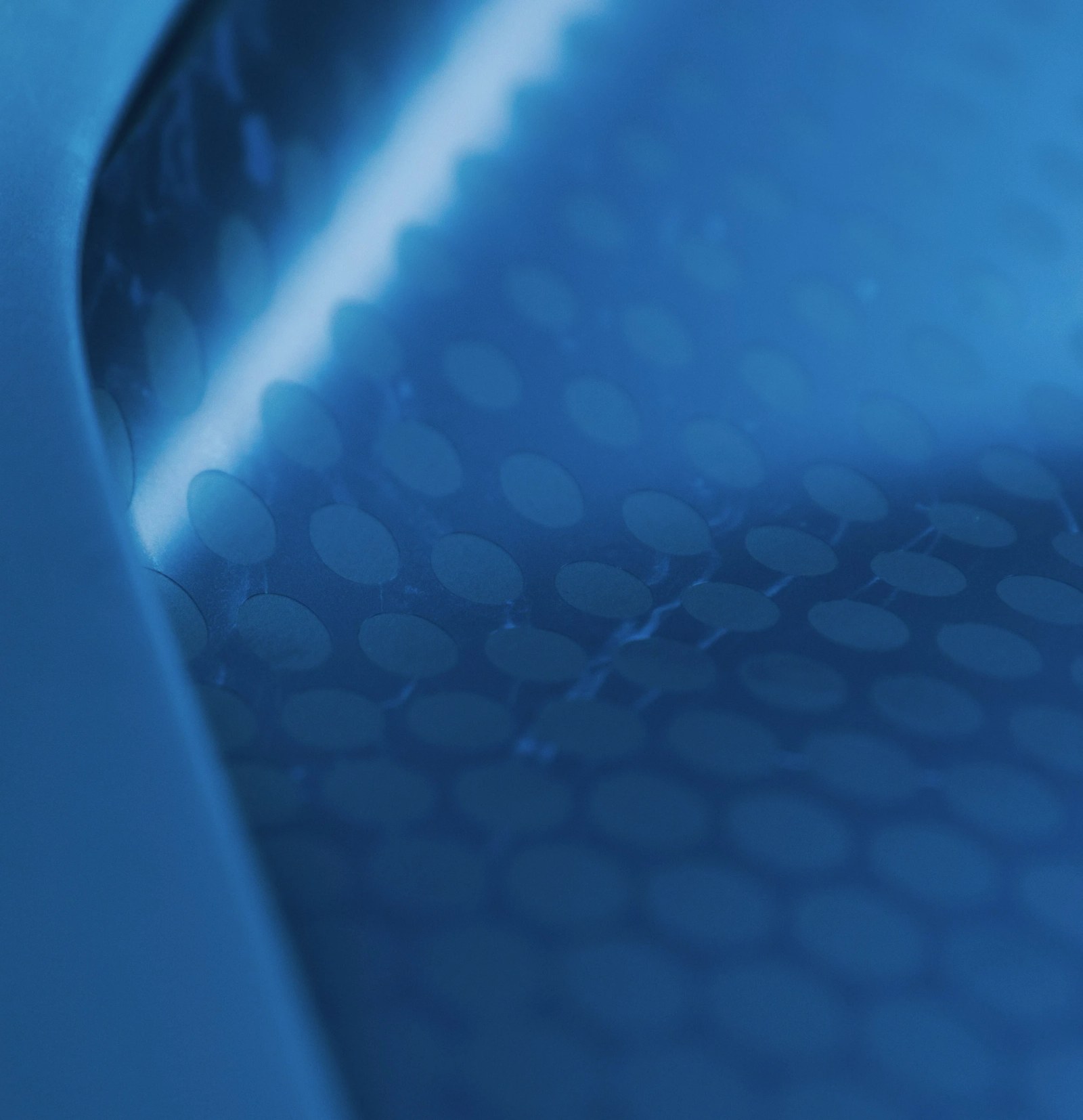 'Fly Bug' script and dancing elephant motif embroidered on the headrest of the Bugatti.
