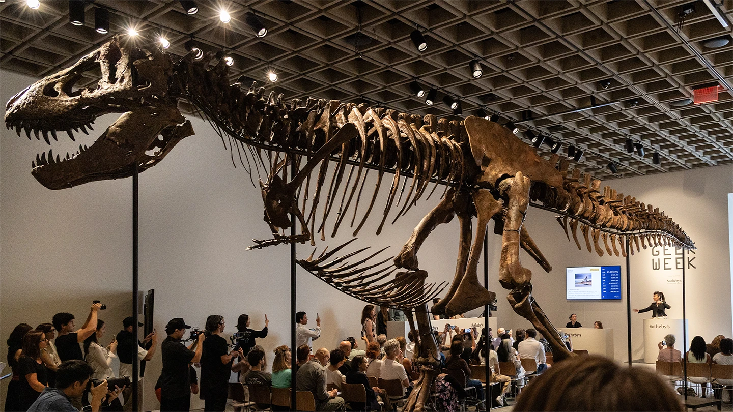 A 10-Minute Bidding War Ends with a $50.1 Million T. Rex