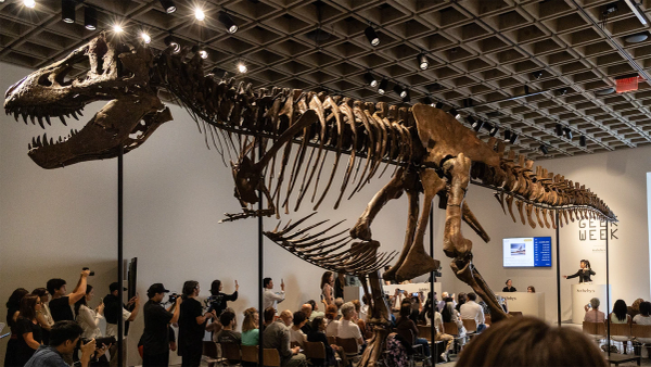 A 10-Minute Bidding War Ends with a $50.1 Million T. Rex